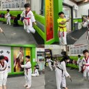 쌍용태권도장 이미지