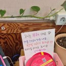 윤심이네 실비집 티스토리