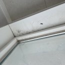 덕풍동로 이미지