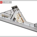 더 퍼스트 이미지