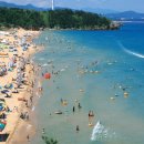 청초수물회앤섭국 이미지