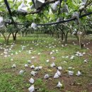 월정축산 이미지