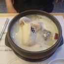 지호한방삼계탕속초점 이미지