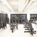 포프로짐 이미지