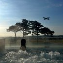비투코드 | 인천 호텔 파라다이스 시티 (씨메르 • 투숙객 전용 수영장 • 아트스페이스 • 가면무도회 공연...