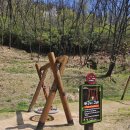 대흥동 유아숲체험원 이미지