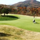 양지게이트볼장 이미지