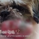 에스농장 이미지