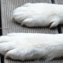 꼬순내유치원 이미지