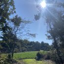 올레길 하천형 3코스 | 제주올레길 3-B 코스 후기 (온평포구 - 표선해수욕장)