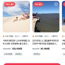 주식회사 평화여행사 | 호주 시드니 근교 헌터밸리 와이너리 투어 추천, 줌줌투어 예약후기