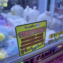 뽀꼬가냥 이미지