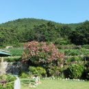 들꽃정원민박 이미지