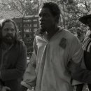 해방농장 이미지