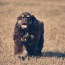 뜨락엔햇살 이미지