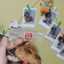 중동떡방앗간 이미지