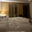 해비치호텔 | 제주 해비치호텔&amp;리조트 투숙 후기(이그제큐티브 오션뷰 킹룸, 수영장, 룸서비스)