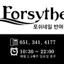 강's네일 이미지
