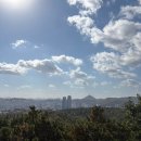 부천역곡초등학교 | 부천 원미산 등산코스 추천(feat.당근) 작동홍두깨칼국수 후기