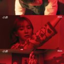 사랑스럽개 이미지