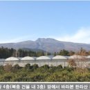 블루스톤공인중개사사무소 이미지