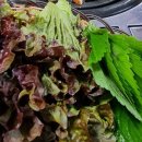 복돼지뒷고기부속구이 이미지