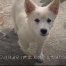 강림농장 이미지