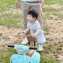 마리엘린 이미지