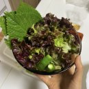 수산시장막썰어횟집 | 부산 회 포장 맛집 부산진역 시장횟집 도시락 막썰어회 후기