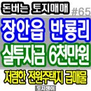 장안읍반룡리-87 이미지