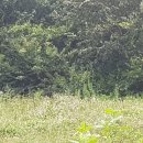 맨드라미농장 이미지