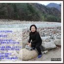 정옥석 Daum카페