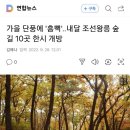 747회 일요걷기(11월27일) 11월까지 안쪽숲길 개방하는 동구릉 연결숲길~왕숙천 수변길로 걷습니다 이미지