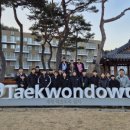 국가대표효자효녀태권도장 이미지