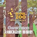 백곰사 | 서울대공원 동물원 코끼리열차 유모차 경기도 아기랑 갈만한 곳