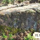 억불샘약수터 Daum카페
