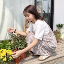 라라루리 이미지