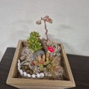 군산시정신건강복지센터 이미지