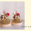 부산중앙여자중학교 이미지