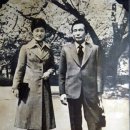 포항제철초등학교 | 박정희, 경제성장과 권위주의의 두 얼굴
