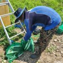 인암농원 이미지