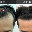 영라인의원 이미지