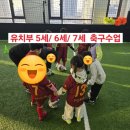 세종FC에셀축구교실