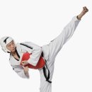 인하코리아태권도 이미지