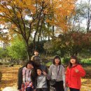 10월 27일 철암초등학교 독서여행 박경리 문학공원 이미지
