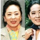 김지미(金芝美, 본명: 김명자, 1940년 7월 15일 대전 ~ ) 이미지