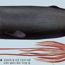 옌타이야간반점