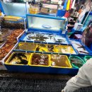 주문진작은다리투다리 | 강원도 동해, 삼척 2박 3일 여행 3일차 기록 [ 주문진 풍물시장 ][ 주문진 어민 수산시장]