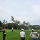 그늘집 - 시흥시 서울대학로 59-69 | 그늘집