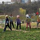 함평엑스포공원 이미지
